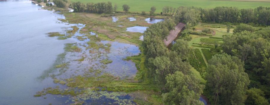 Aerial VIew of the Bay Lodge Wetland Project