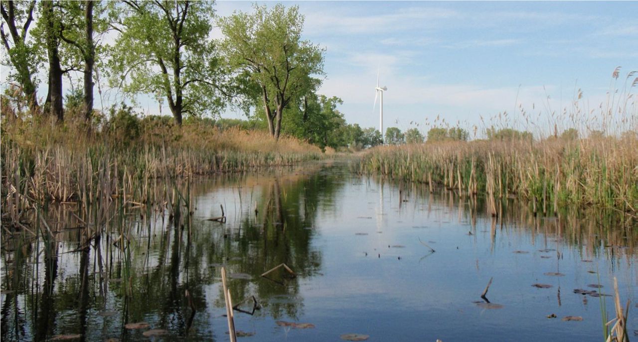 Swan Lake image before rehabilitation efforts